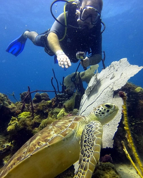 Ultra Marine Divers team preparing guests for a Caribbean dive