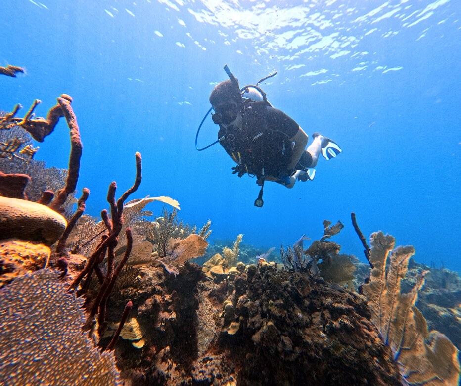 Ultra Marine Divers sharing a Caribbean diving experience in Bayahibe