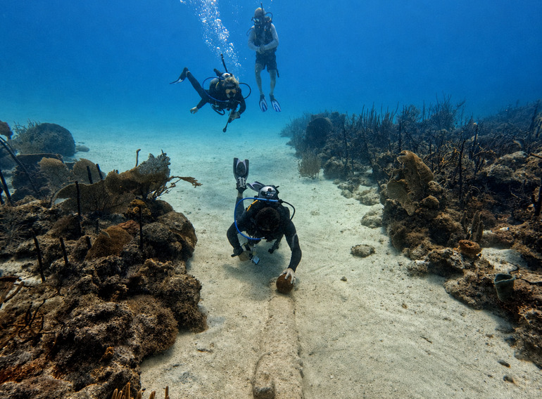 Scuba divers exploring Guaraguao Reef near Bayahibe