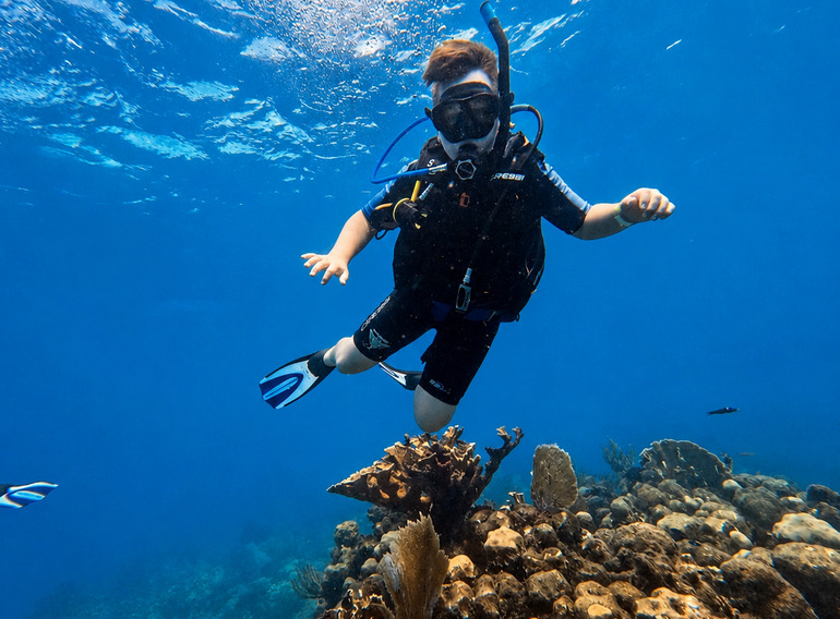 Scuba diver above the coral reef at Viva Shallow in Bayahibe