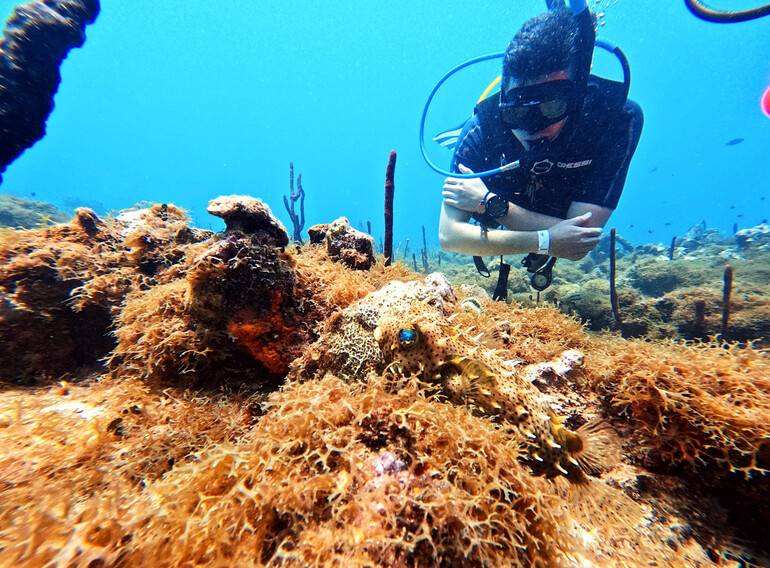 Ultra Marine Divers guest exploring a Catalina Island reef in a small group