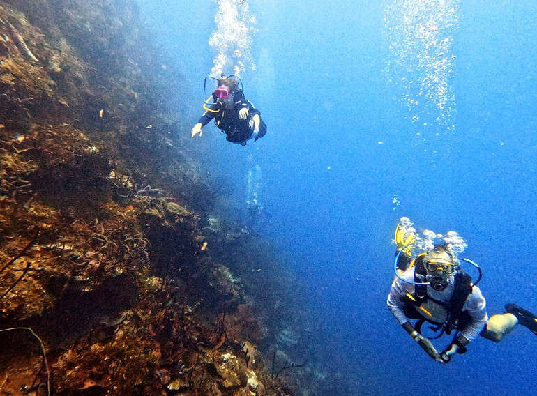 Scuba divers descending beside The Wall at Catalina Island