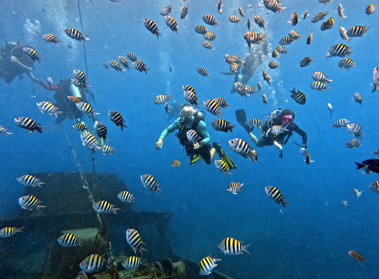 Ultra Marine Divers guests enjoying small-group diving among tropical fish near Saona Island