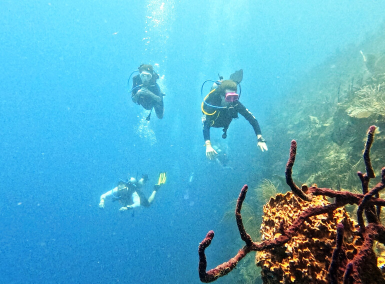 Scuba diving along The Wall at Catalina Island