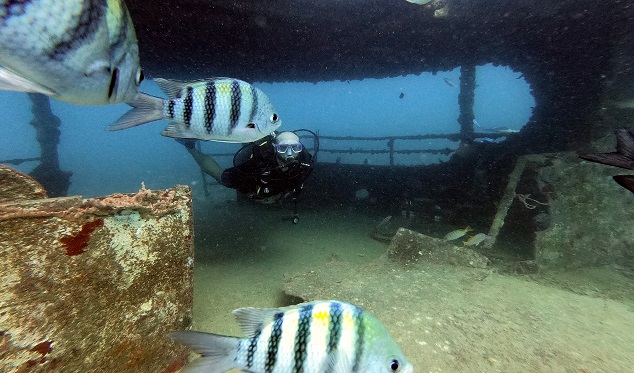 Dominican Republic Peparing Scuba Diving