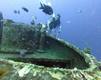 Big Red Crab, Scuba diving Dominican Republic