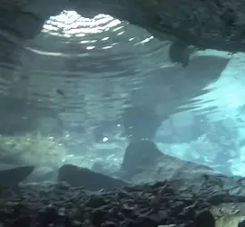 Cave Diving Dominican Republic Punta Cana