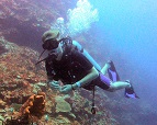 Bayahibe, Punta Cana, Bavaro, Dive Site Dominican Republic