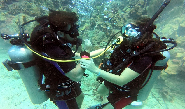 Bayahibe, Punta Cana, Bavaro, Dive Site Dominican Republic