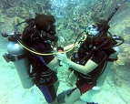Bayahibe, Punta Cana, Bavaro, Dive Site Dominican Republic