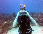 Big Red Crab, Scuba diving Dominican Republic