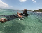 Bayahibe, Punta Cana, Bavaro, Dive Site Dominican Republic